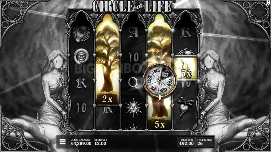 Understanding Live Casino Trends